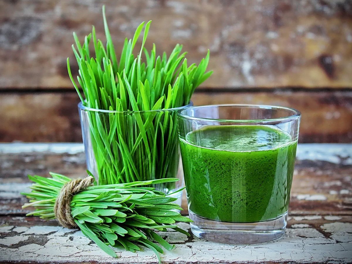 wheathgrass