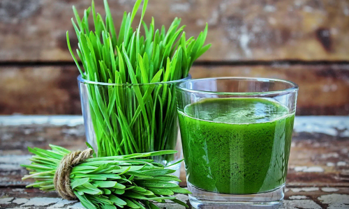 wheathgrass